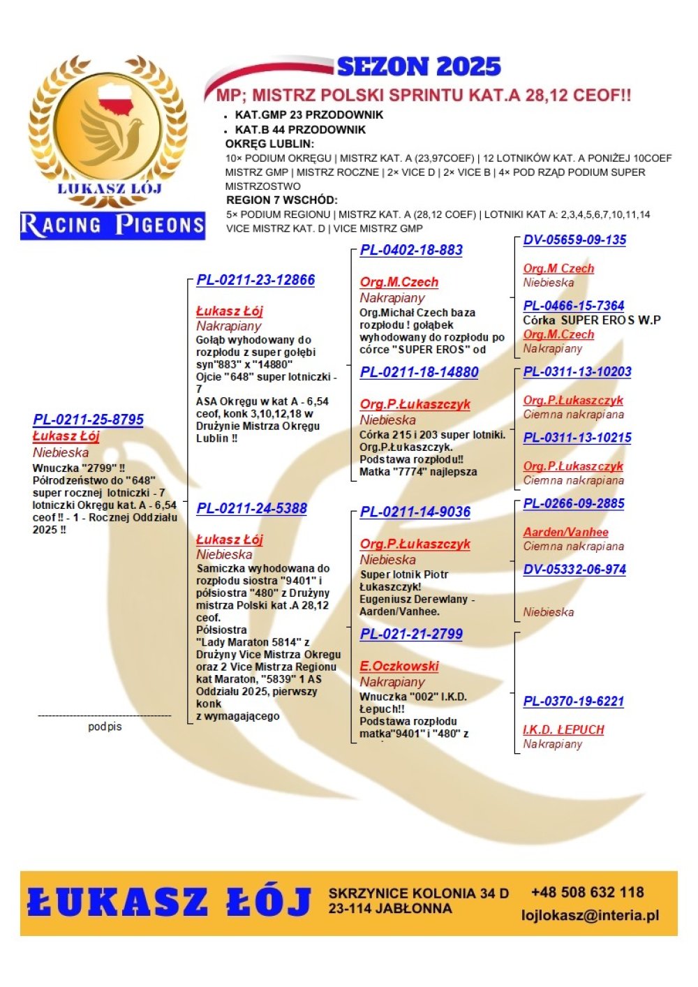 WNUCZKA '2799' / '883'