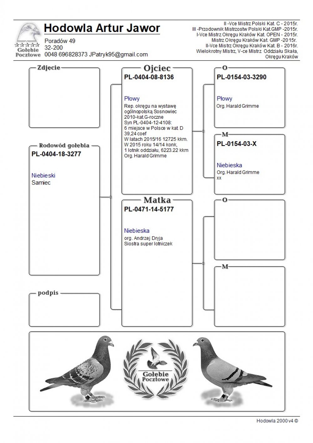 | SYN OJCA GOŁĘBNIKA "8136" ORG. HARALD GRIMME - JEGO SYN  29KONK/2LATA! | SYN "5177" ORG. ANDRZEJ DRYJA - PEŁNA SIOSTRA BARDZO DOBRYCH LOTNICZEK! |