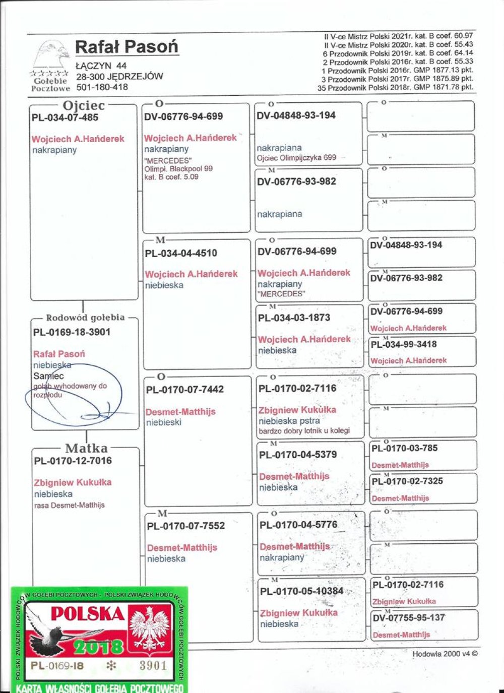 WNUK OLIMP. MERCEDES