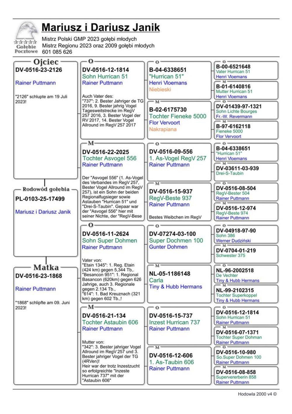 HURRICAN X S. DOHMEN