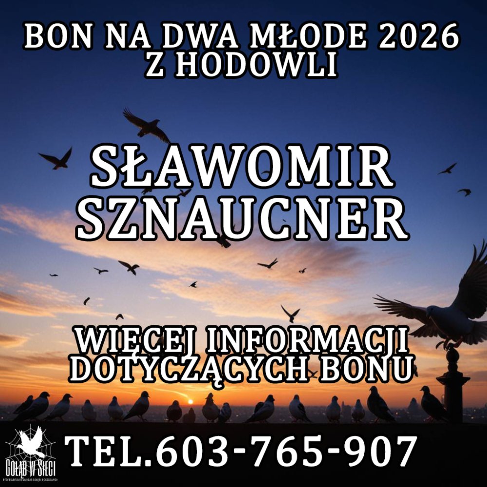 SŁAWOMIR SZNAUCNER