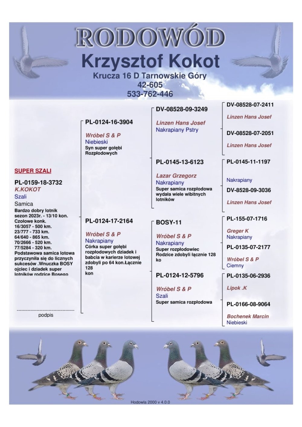 | KRZYSZTOF KOKOT | BARDZO DOBRA I ZASŁUŻONA LOTNICZKA "SZALI 3732" - W SEZONIE 2023 - 10KONK. BARDZO DOBRA W LOTACH DALEKIEGO DYSTANSU! | WNUCZKA KAPITALNEGO ROZPŁODOWCA "BOSY 11" ORG. PIOTR & STANISŁAW WRÓBEL - JEGO RODZICE RAZEM ZDOBYLI 128KONKURSÓW! MATKA 64 / OJCIEC 64 !! | CÓRKA SAMCA ROZPŁODOWEGO "3904" - JEST ON SYNEM DWÓCH BARDZO DOBRYCH GOŁĘBI ROZPŁODOWYCH - 75% LINZEN HANS JOSEF |