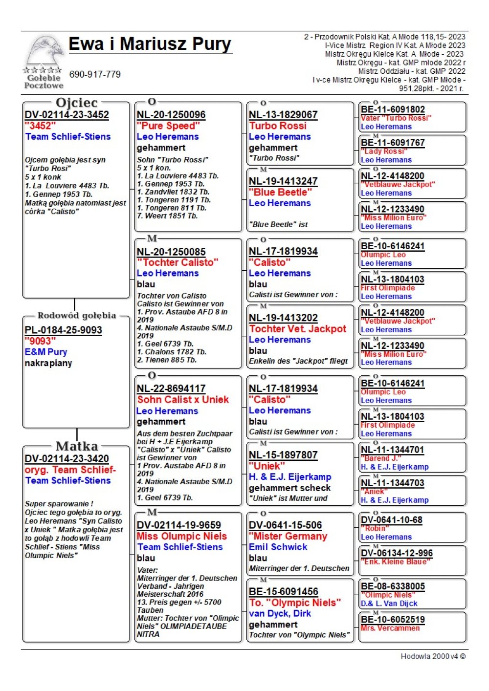 INBRED 'CALISTO 934'