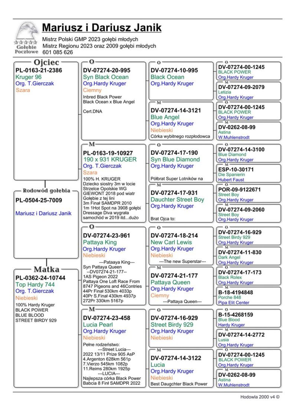 WNUCZKA 'PATTAYA KING'