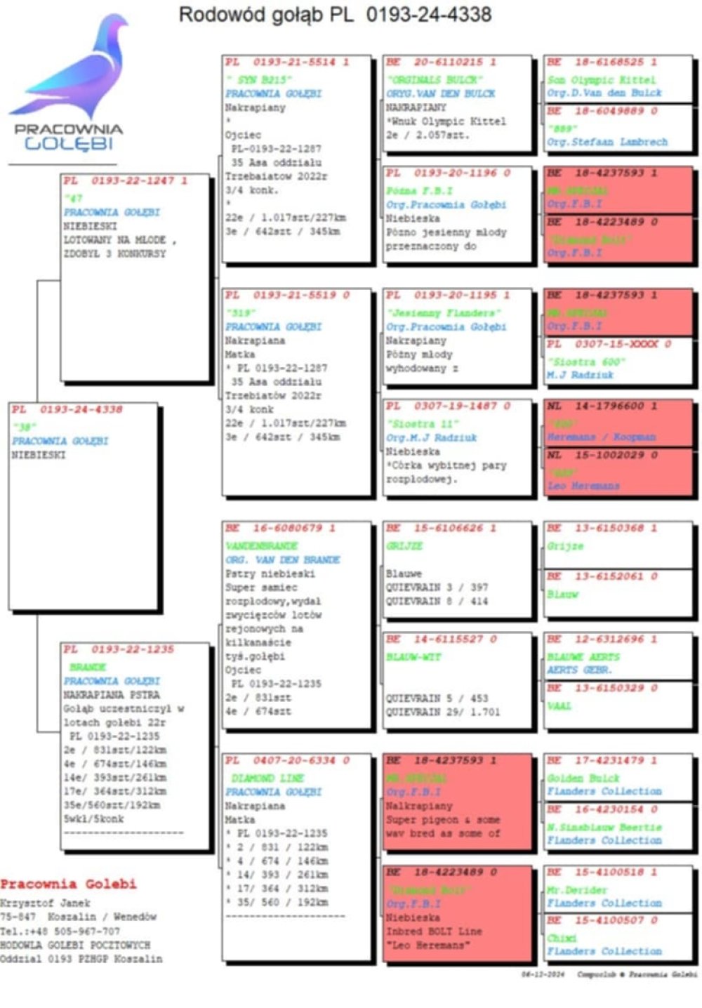 DARCZYŃCA: KRZYSZTOF JANEK