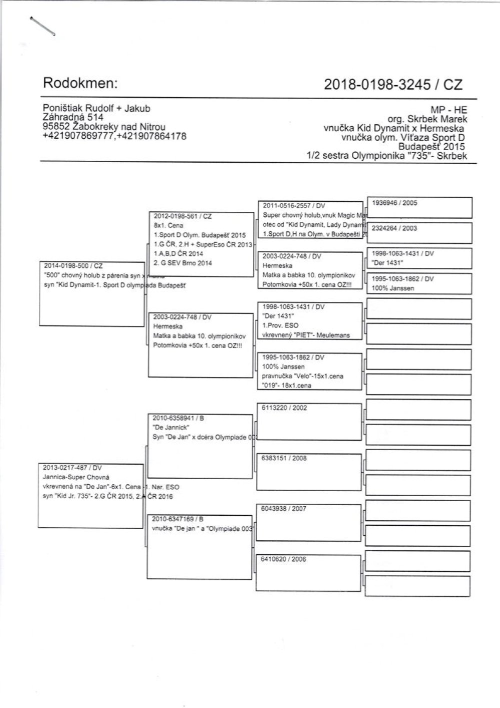 ORG. MAREK SKRBEK | WNUCZKA OLIMPIJCZYKA "KID DYNAMIT" - ZŁOTY MEDAL OLIMPIADA BUDAPESZT 2015R - KAT. D 11,248COEFF. | CÓRKA SUPER SAMICY ROZPŁODOWEJ "JANNICA" - JEST ONA MATKĄ OLIMPIJKI "735" |