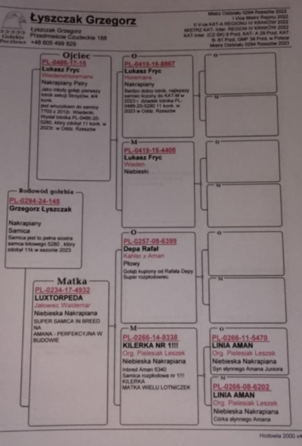 DARCZYŃCA: GRZEGORZ ŁYSZCZAK - NR 1