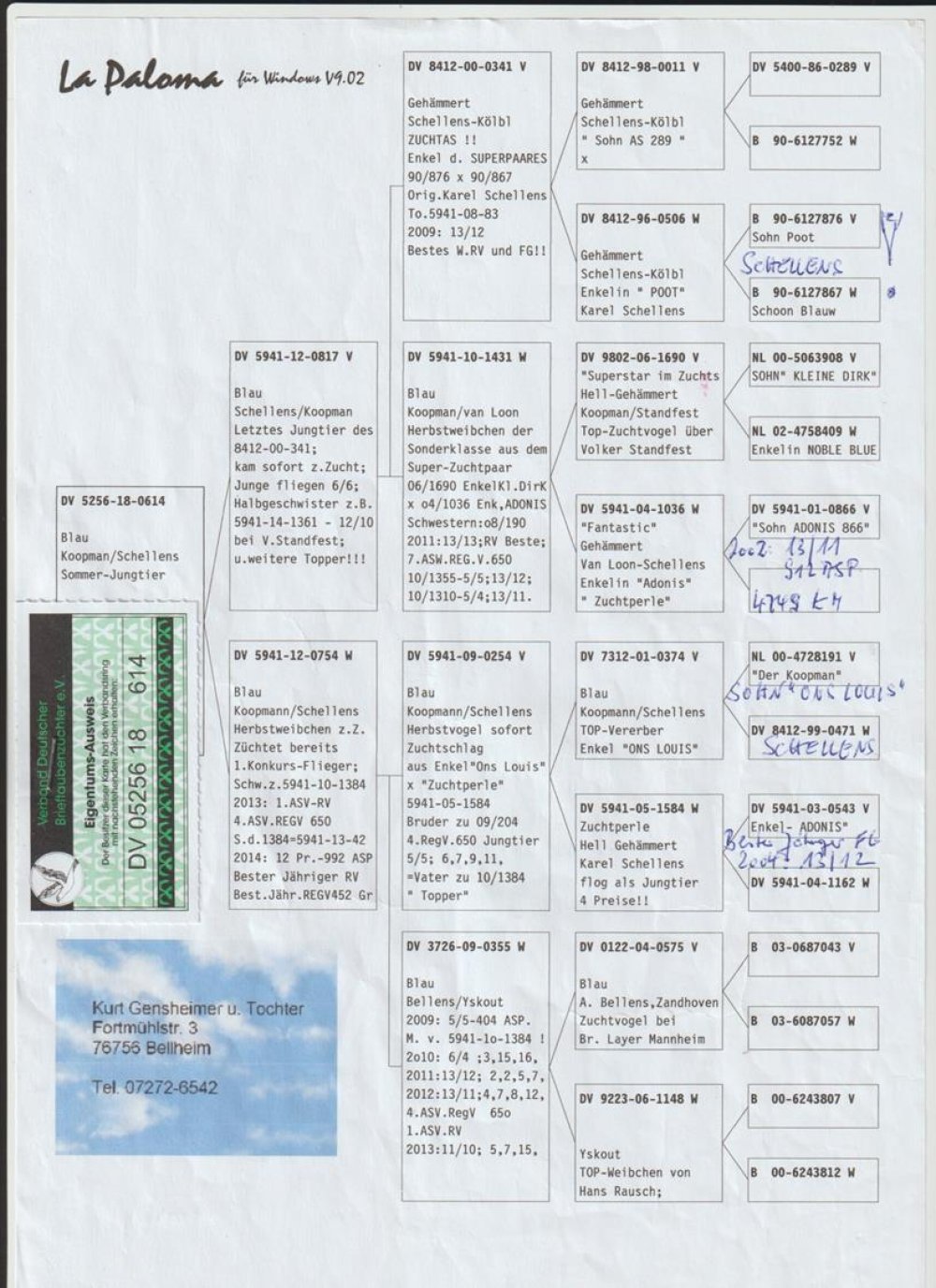 ORG. KURT GENSHEIMER