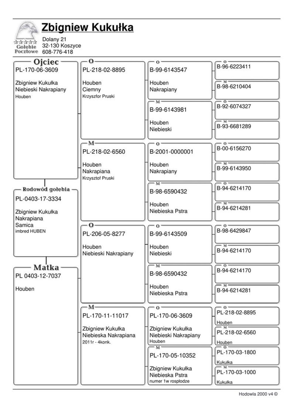 | 100% HOUBEN | CÓRKA ROZPŁODOWCA "06-3609" - 100% KRZYSZTOF PRUSKI / HOUBEN | CÓRKA SAMICY ROZPŁODOWEJ "7037" - JEST ONA WNUCZKĄ JEDNEJ Z NAJLEPSZYCH SAMIC ROZPŁODOWYCH W HISTORII HODOWLI "10352" |