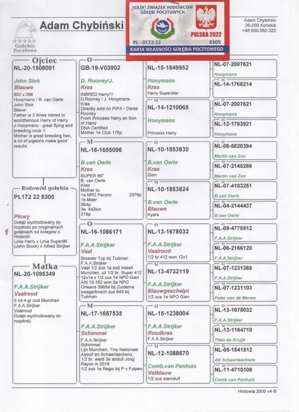 | WNUK "3902" INBRED "HARRY" JAN HOOYMANS | SYN "1095349" ORG. ALFRED STRIJKER |