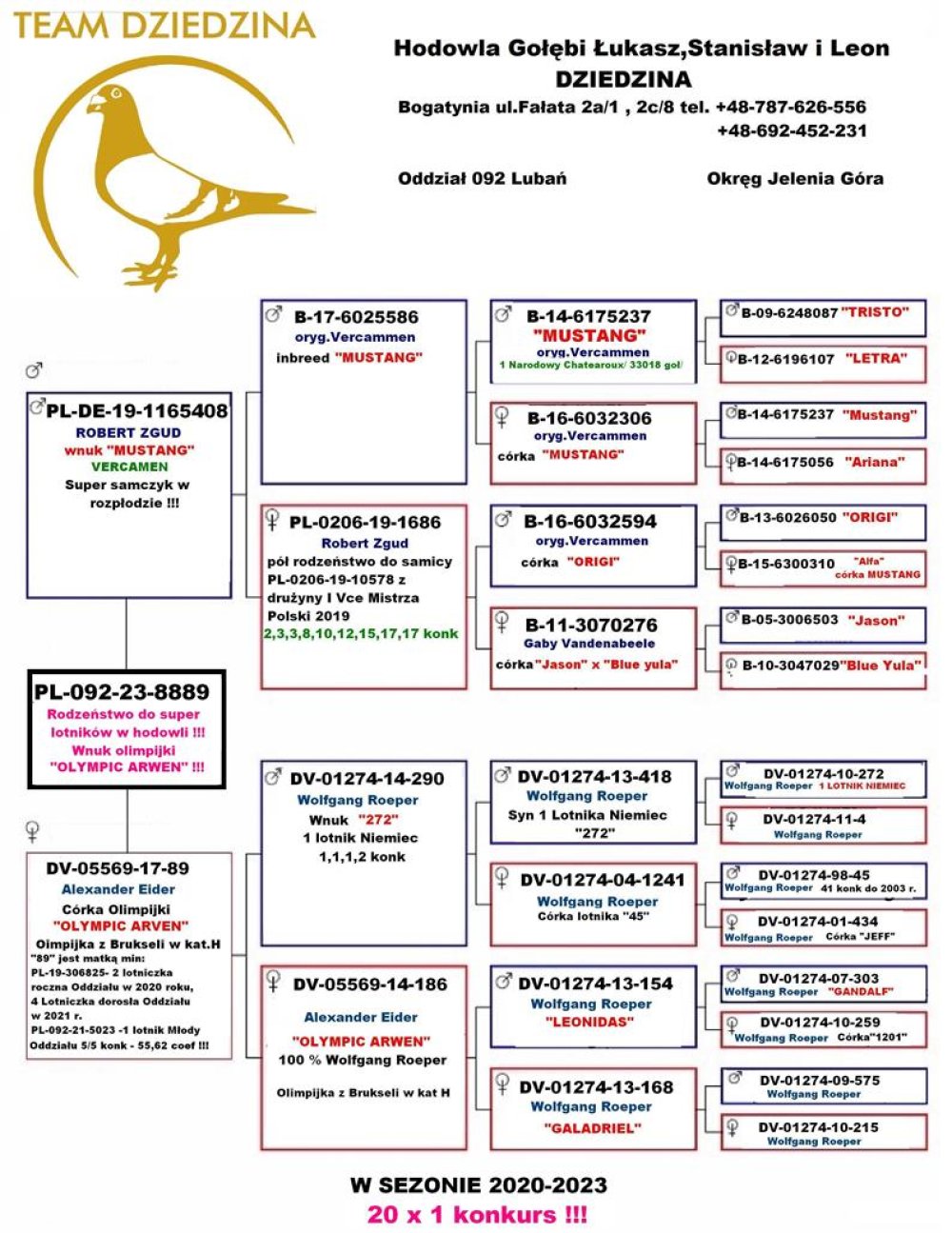 | WNUK OLIMPIJKI W KAT. SPORT H - "OLYMPIC ARVEN" ORG. ALEXANDER EIDER - 100% WOLFGANG ROEPER | SYN SUPER ROZPŁODOWCA "408" ORG. ROBERT ZGUD - WNUK "MUSTANG" | WNUK "290" WOLFGANG ROEPER - JEST TO WNUK "272" - 1 LOTNIK NIEMIEC M.IN.: 1, 1, 1, 2.. |
