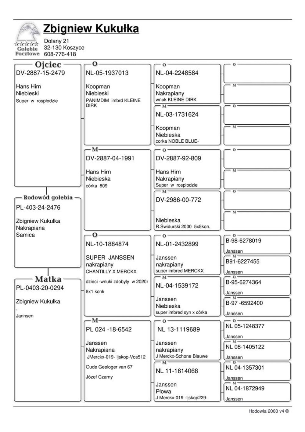 | MŁODA LOTOWANA SAMICA "2476" - CÓRKA SUPER ROZPŁODOWCA "2479" HANS HIRN - SYN SŁYNNEGO "PANIMDIM" / WNUK SŁYNNEGO "809" HANSA HIRNA!!! | WNUCZKA NAJLEPSZEGO ROZPŁODOWCA HODOWLI "SUPER JANSSEN 874" CHANTILLY / MERCKX | WNUCZKA BARDZO DOBREJ SAMICY ROZPŁODOWEJ "6542" ORG. BRACIA CZARNY - LINIA GOŁĘBI JANSSEN "MERCKX" / "019" ! |