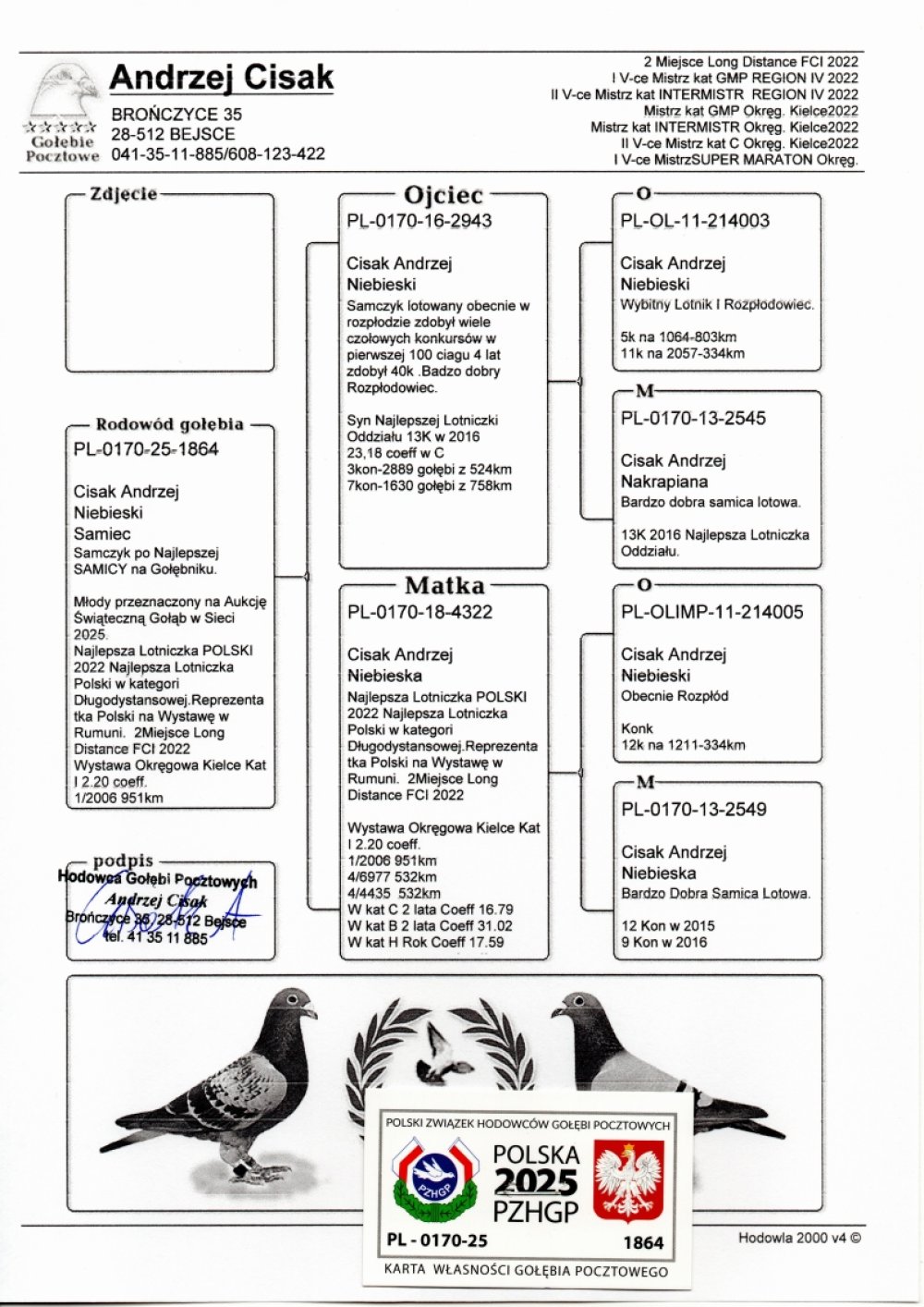 CISAK  ANDRZEJ & DAWID