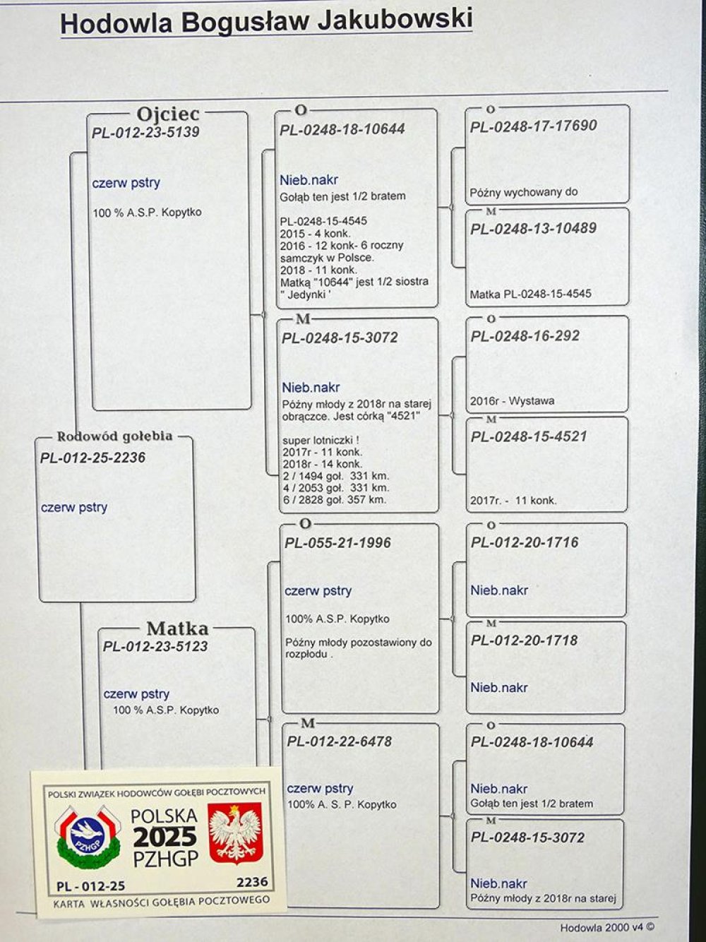 100% KOPYTKO A. S. P.