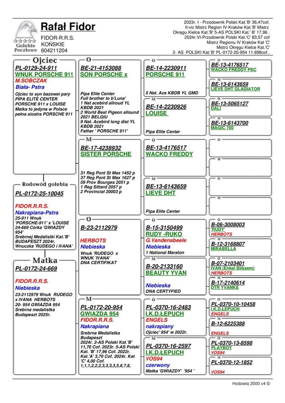 CÓRKA 954 X PORSCHE