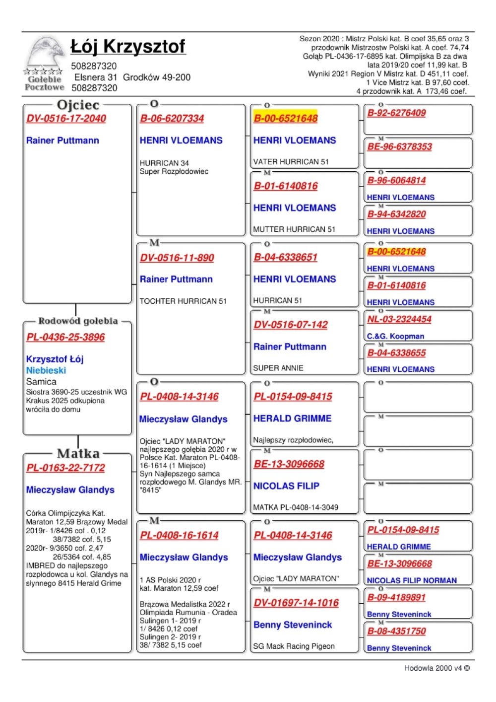 WNUCZKA 'OLIMP 1614'