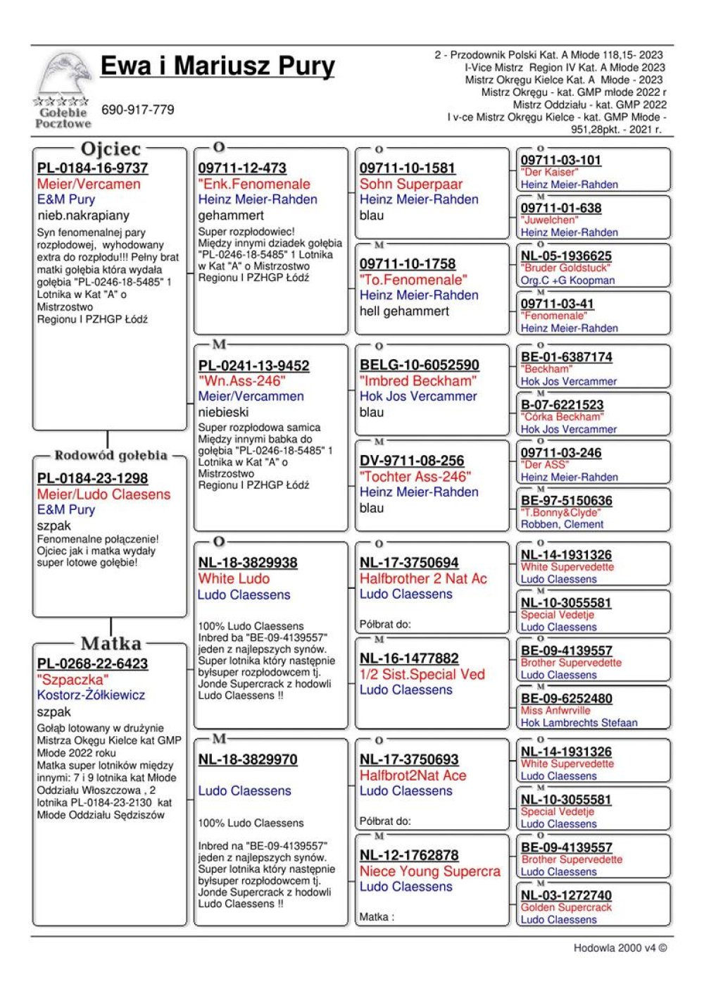 | SYN LOTNICZKI "SZPACZKA 6423" 100% LUDO CLAESSENS - W DRUŻYNIE MISTRZA OKRĘGU KAT. GMP MŁODE 2022R / JEST ONA MATKĄ M.IN.: 7 I 9 MŁODEGO LOTNIKA ODDZIAŁU 2023! | SYN ROZPŁODOWCA "9737" MEIER/VERCAMMEN - WNUK "FENOMENALE" X WNUCZKA "DER ASS 246" |