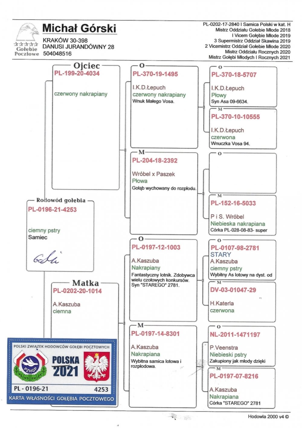 "1014" - INBRED "STARY 2781" A. KASZUBA X "4034" - LINIA "MAŁY VOS" I. & K. & D. ŁEPUCH |