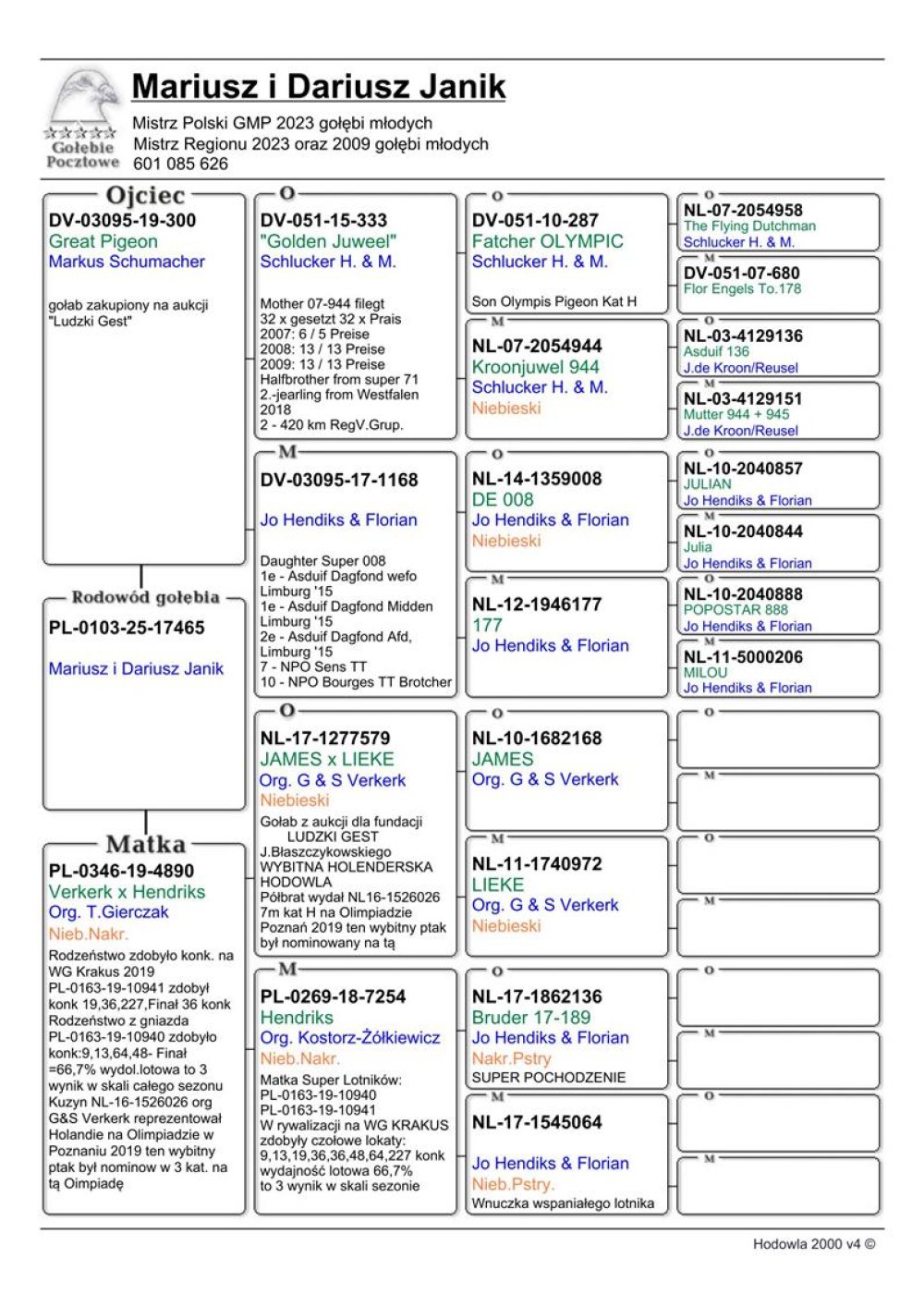 WNUCZKA 'VERKERK 579'