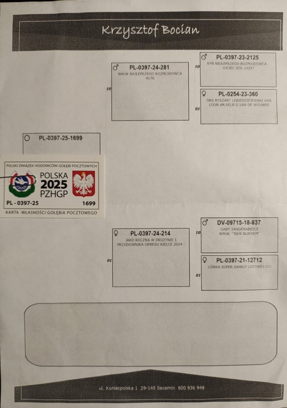 LINIA BAZOWEGO '4176'