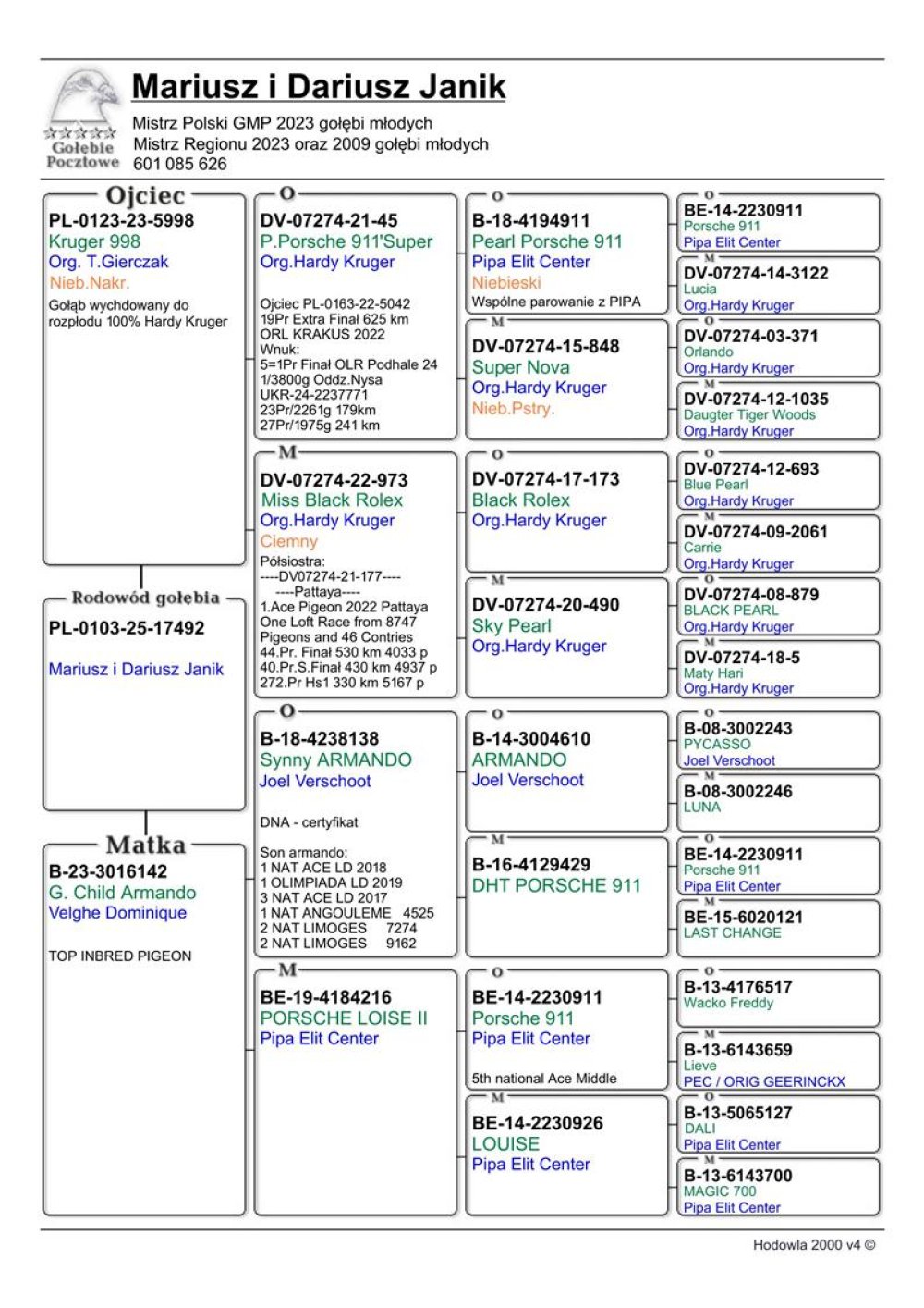ARMANDO X PORSCHE 911