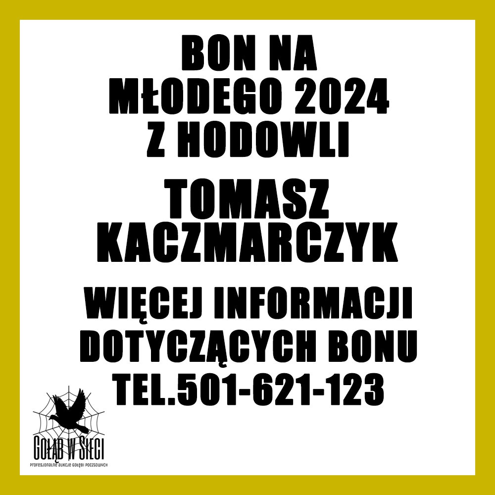 TOMASZ KACZMARCZYK - 0444 KIELCE HERBY / BON NA MŁODEGO Z ROCZNIKA 2024