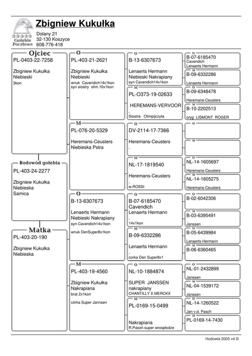 | MŁODA LOTOWANA SAMICA "2277" - WYHODOWANA W POKREWIEŃSTWIE SUPER LOTNIKA "CAVENDICH 470" LENAERTS HERMANN | CÓRKA SAMICY "190" - JEST ONA WNUCZKĄ "CAVENDICH 470" LENAERTS HERMANN ORAZ WNUCZKĄ NAJLEPSZEGO GOŁĘBIA HODOWLI - WSPANIAŁEGO ROZPŁODOWCA "SUPER JANSSEN 874" | CÓRKA SAMCZYKA "7258" - JEGO DZIADKAMI SĄ "673" - SYN "CAVENDICH" ORAZ "2633" - PEŁNA SIOSTRA OLIMPIJCZYKA MARCINA KOBIELI "2250" !! |