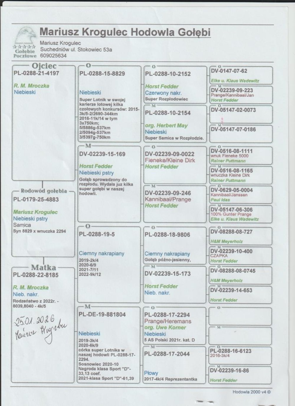 MARIUSZ KROGULEC  (2)