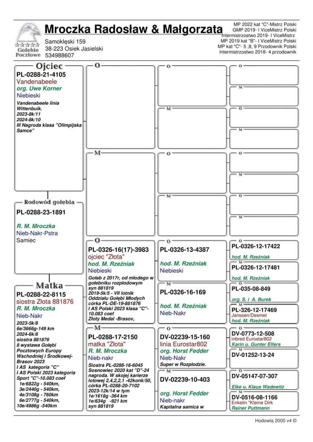 DARCZYŃCA: RADOSŁAW & MAŁGORZATA MROCZKA - NR 2