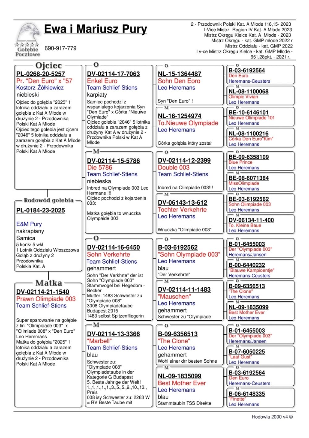 | EWA & MARIUSZ PURY | NAJLEPSZA MŁODA LOTNICZKA ODDZIAŁU WŁOSZCZOWA 2023 - 5/5KONK. / SAMICA Z DRUŻYNY II PRZODOWNIKA POLSKI KAT. A MŁODE !! | JEST ONA WNUCZKĄ REWELACYJNEJ PARY ROZPŁODOWEJ "7063" - WNUK "DEN EURO" HEREMANS-CEUSTERS / "5786" - INBRED "OLYMPIADE 003" ! |