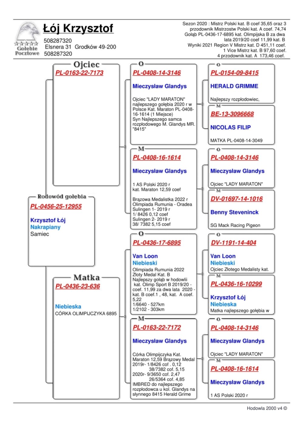 DOUBLE OLYMPIC 12955