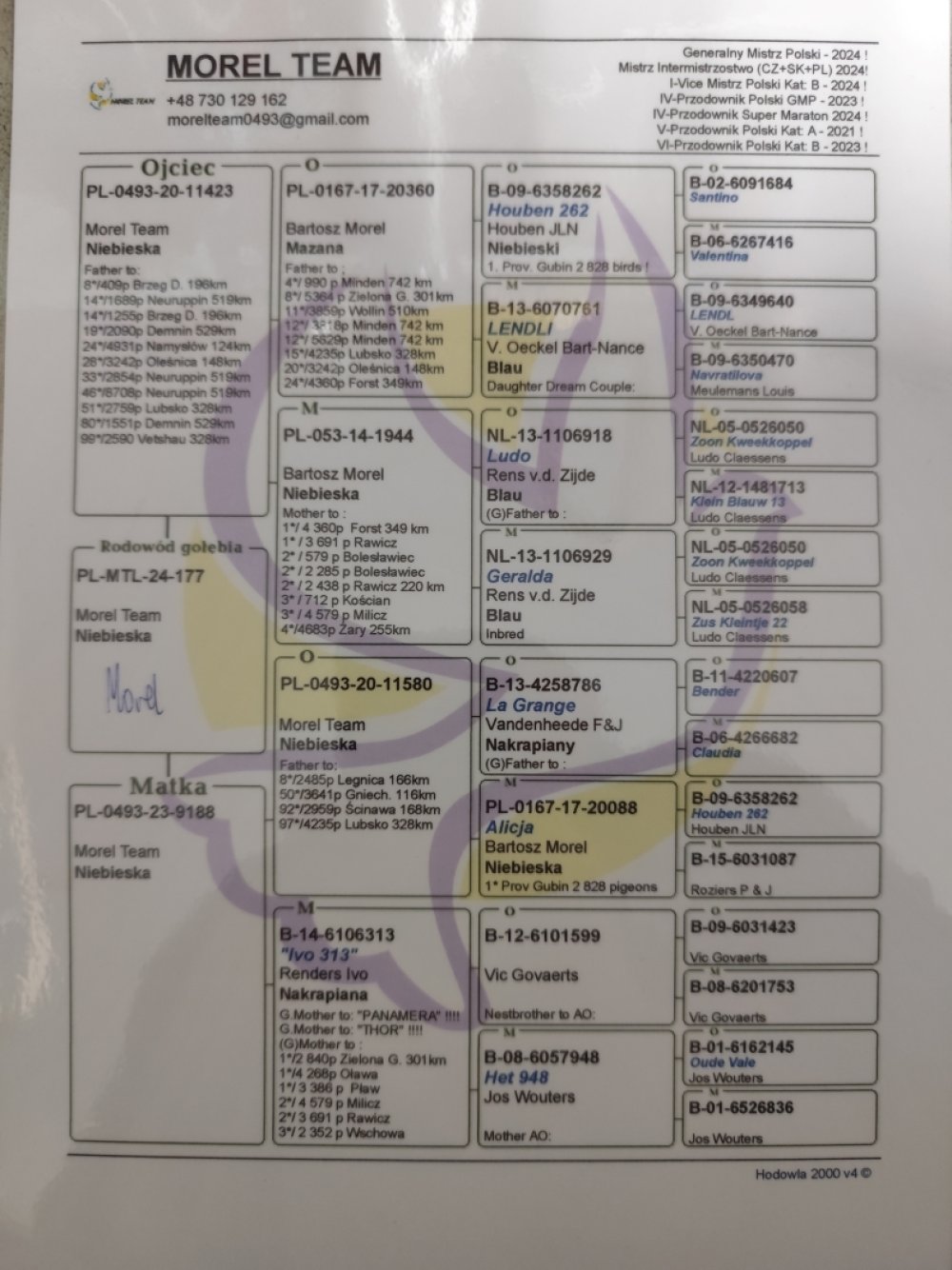 DARCZYŃCA: MOREL TEAM