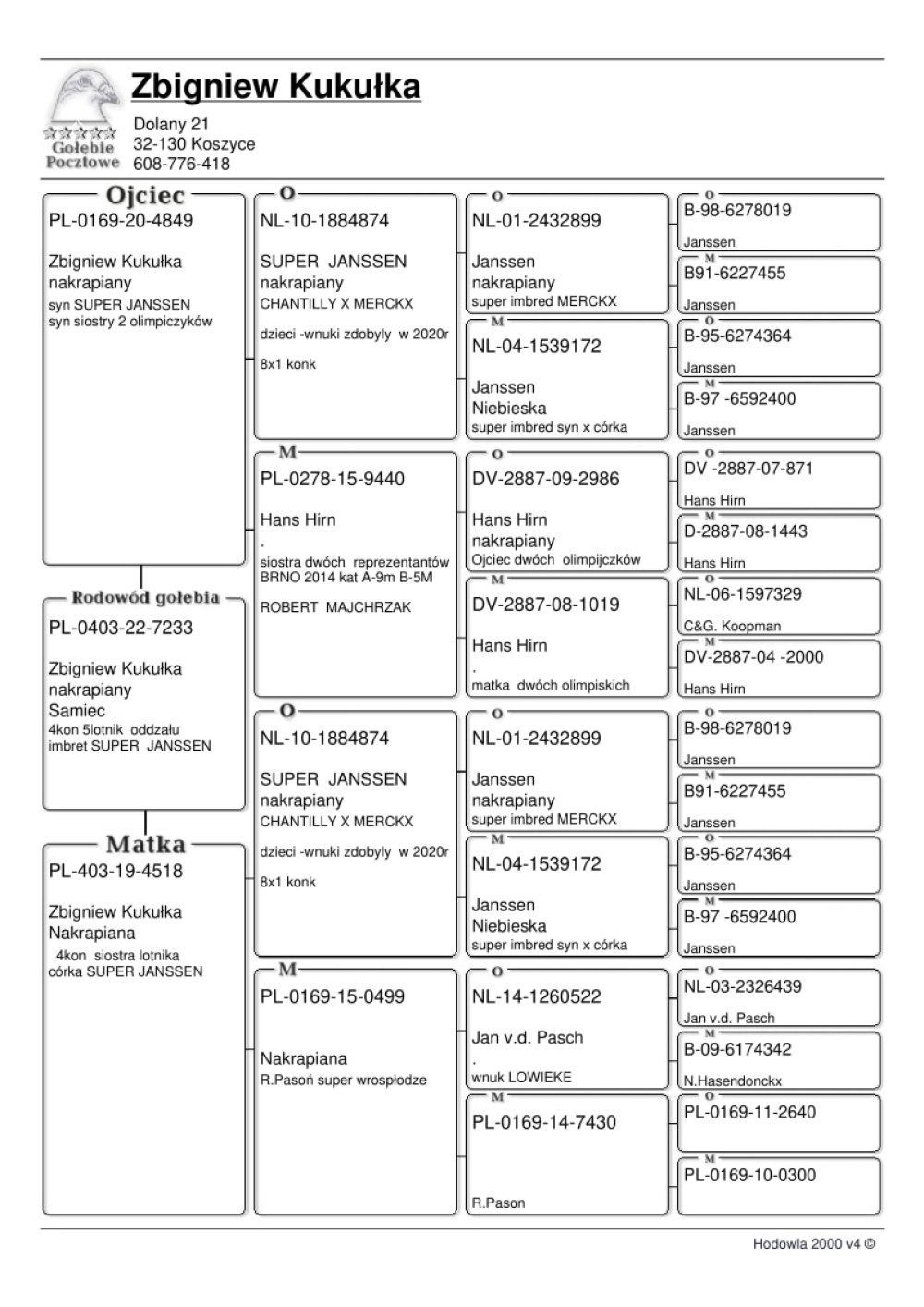 | ZBIGNIEW KUKUŁKA | MŁODY LOTOWANY SAMCZYK - 2 AS OKRĘGU TARNÓW W KATEGORII F 2022R / 1 NAGRODA W KAT. STANDARD! | INBRED NAJLEPSZEGO ROZPŁODOWCA HODOWLI "SUPER JANSSEN" - SYN X CÓRKA! |