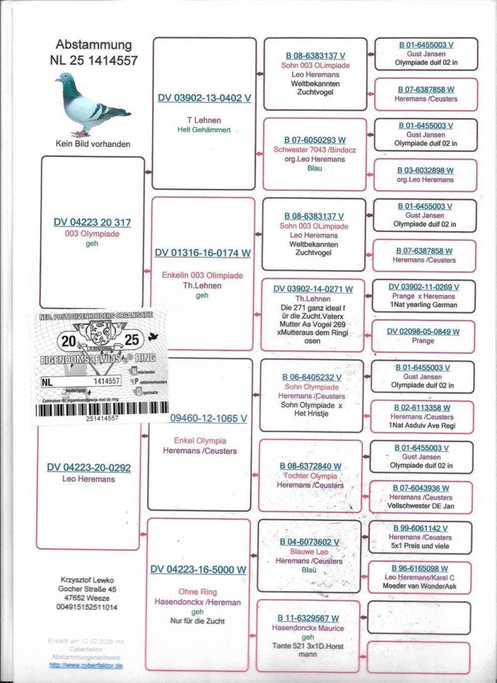 INBRED 'OLYMPIADE 003'