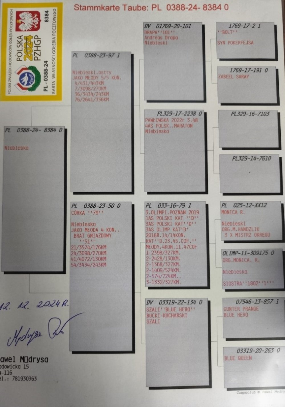 DARCZYŃCA: PAWEŁ MĘDRYSA