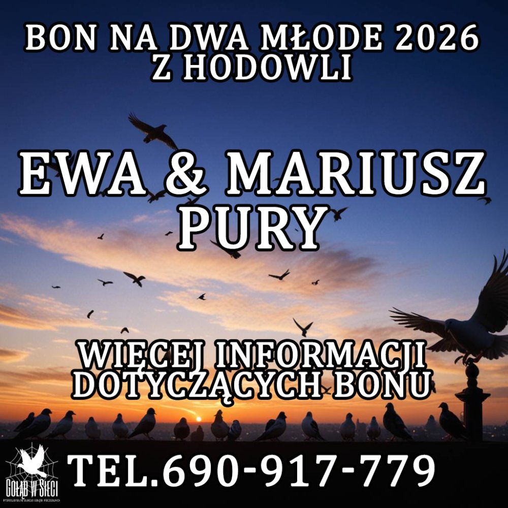 EWA & MARIUSZ PURY