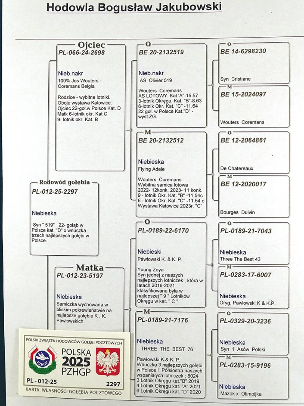 WNUK 'AS OLIVIER 519'