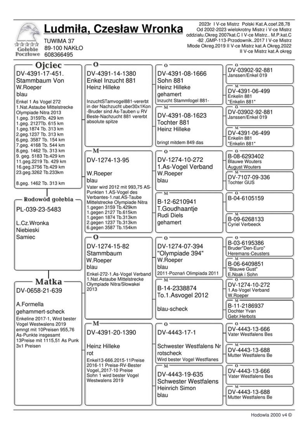 | SYN ROZPŁODOWCA "451" ORG. WOLFGANG ROEPER - JEST ON WNUKIEM KAPITALNEGO LOTNIKA "272" - 1 NARODOWY AS ŚREDNIEGO DYSTANSU / OLIMPIADA NITRA 2013R - M.IN.: 1, 1, 1, 2, 6, 7, 8, 9.. | SYN SAMICY ROZPŁODOWEJ "639" ORG. A. FORMELLA - JEST ONA WNUCZKĄ OLIMPIJCZYKA "394" ORG. WOLFGANG ROEPER - 2AS NIEMIEC - KAT. A - OLIMPIADA POZNAŃ 2011R! |