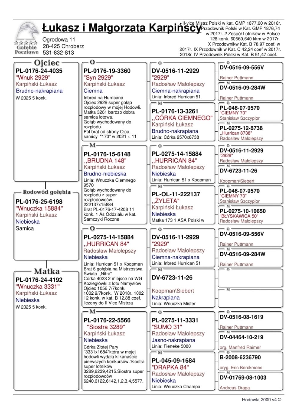 INBRED 'HURRICAN 2929'