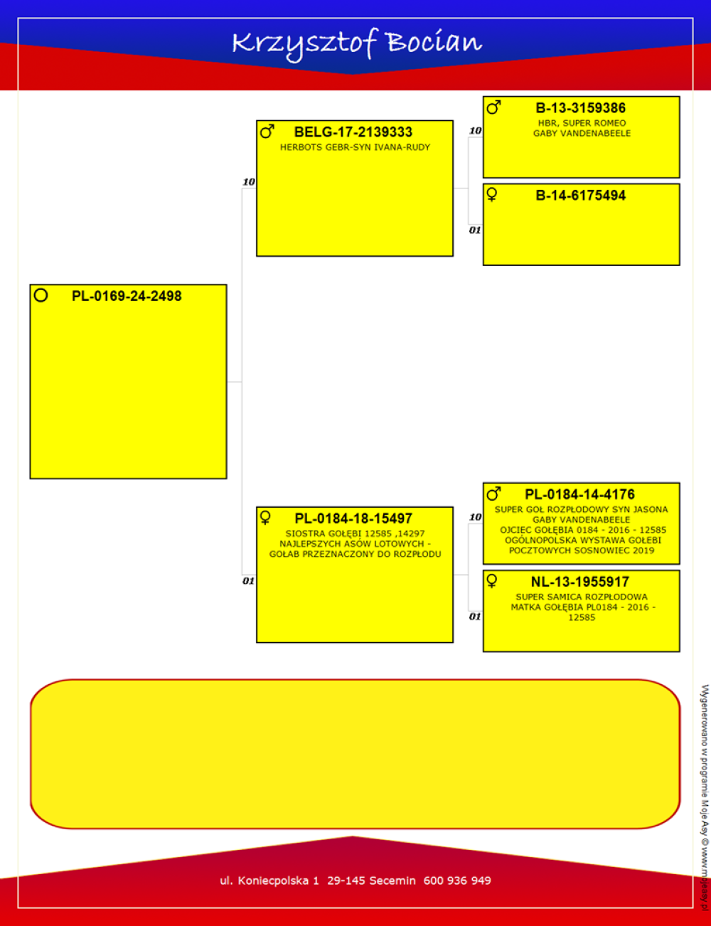 WNUK BAZOWEGO '4176'