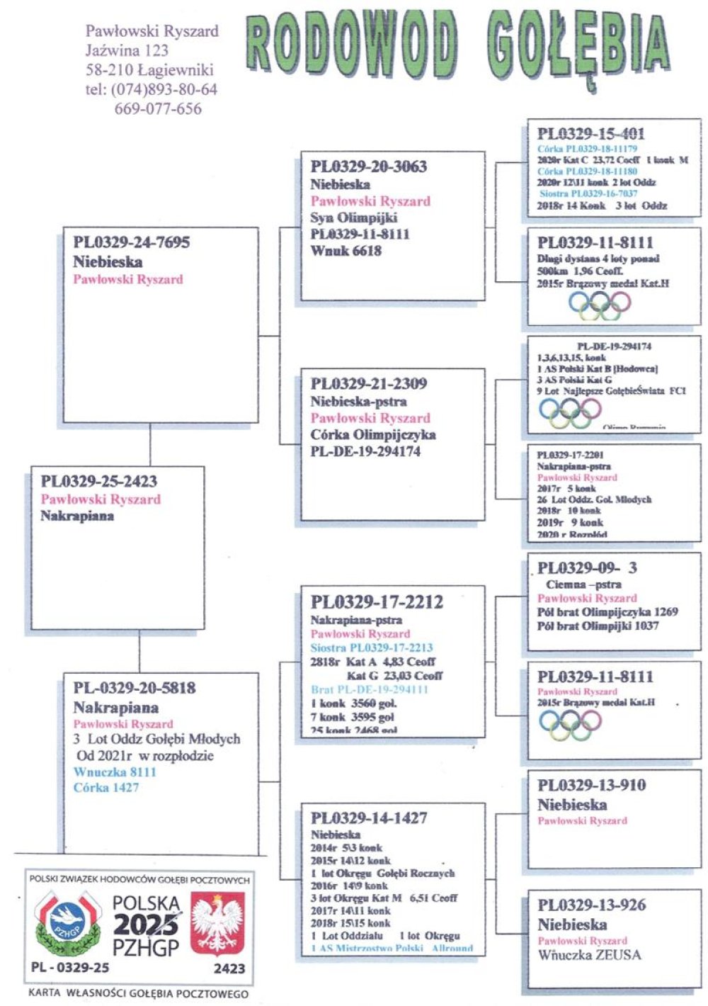 INBRED OLIMPIJKI 8111