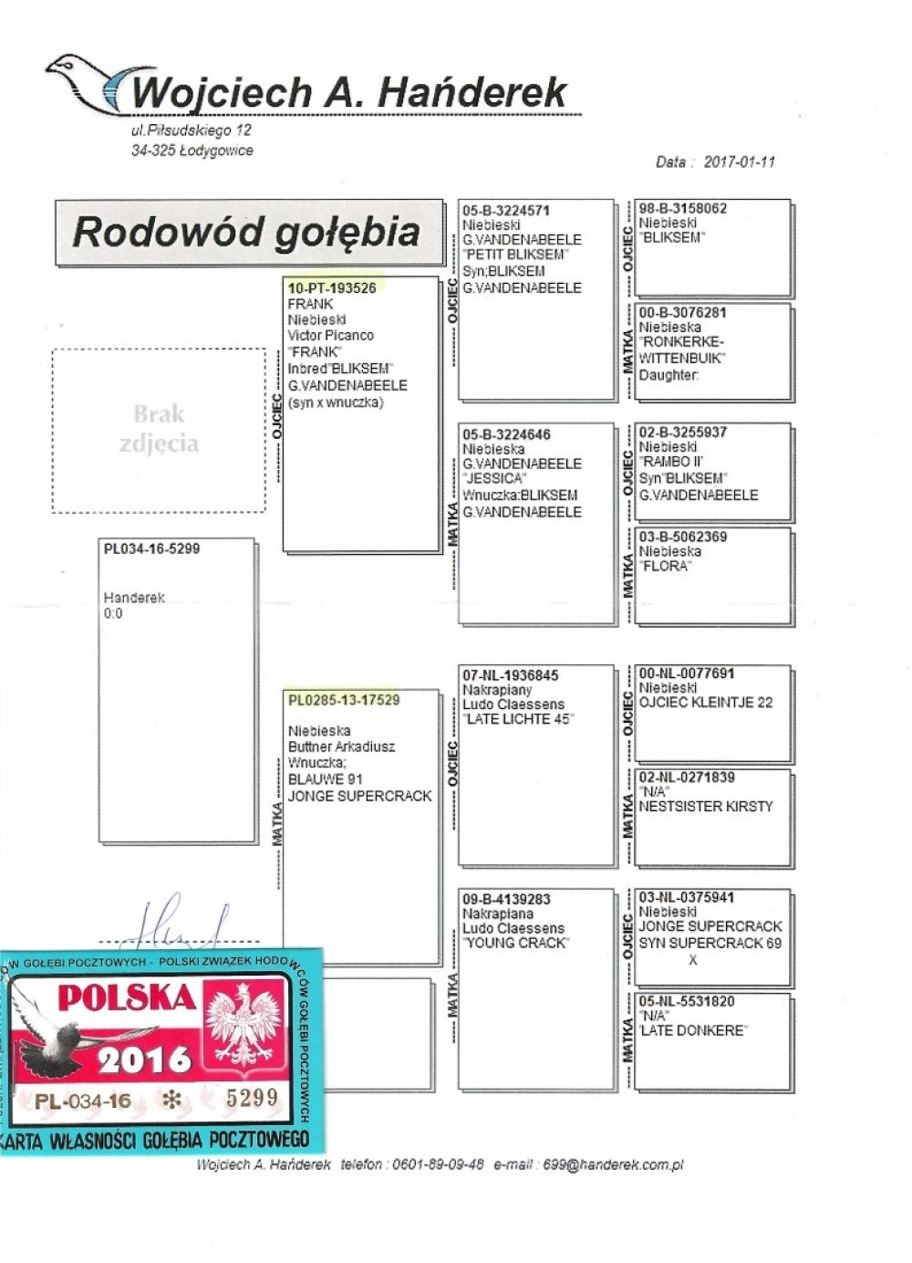 ANDRZEJ PIECZARA. | ORG. WOJCIECH A. HAŃDEREK - INBRED "BLIKSEM" G. VANDENABEELE X WNUCZKA "BLAUWE 91 JONGE SUPERCRACK"