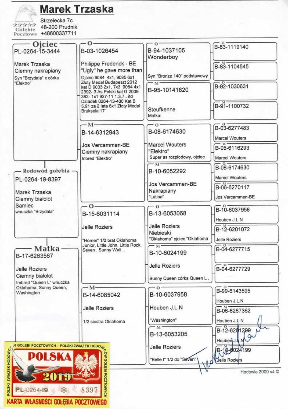 | ORG. MAREK TRZASKA - WNUK "BRZYDALA" | JEGO DZIECI ZDOBYŁY M.IN.: 5, 29, 30, 41, 51, 89.. | JEGO MATKĄ JEST "567" - INBRED "QUEEN L" JELLE ROZIERS |