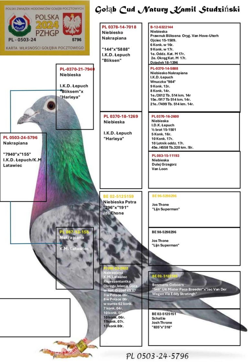 DARCZYŃCA: KAMIL STUDZIŃSKI - NR 2
