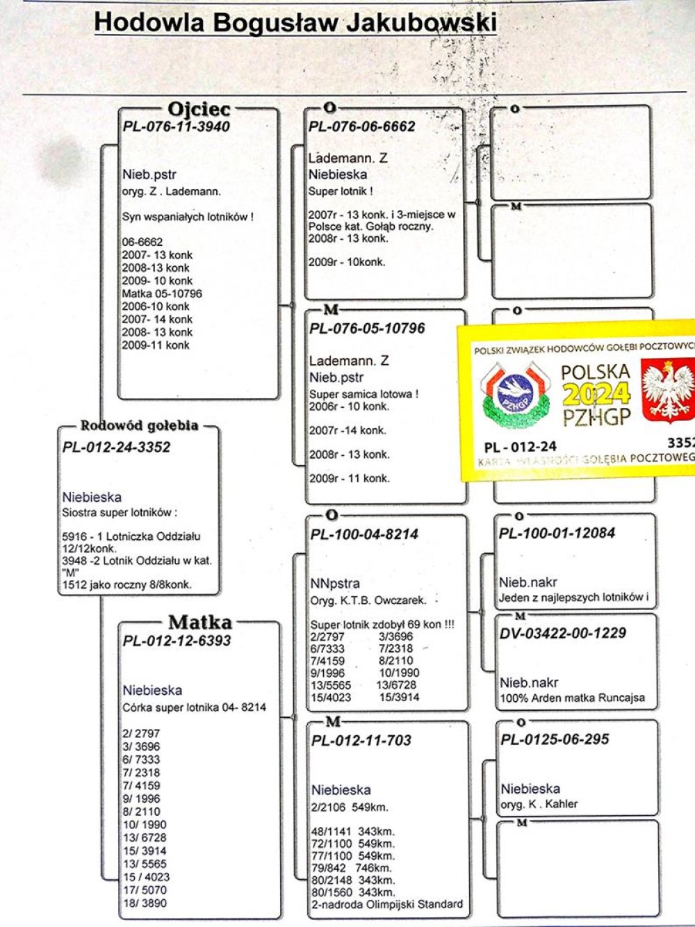 | DZIECKO ROZPŁODOWCA "11-3940" ORG. Z. LADEMANN - JEST ON SYNEM SUPER LOTNIKÓW: "6662" - 36KONK/3LATA! / "10796" - 38KONK/3LATA! | WNUCZKA SUPER LOTNIKA "814" ORG. K. T. B. OWCZAREK - ZDOBYŁ W KARIERZE LOTOWEJ 69KONK. M.IN.: 2, 3, 6, 7, 7, 8, 9, 10, 13, 13, 15, 15.. |
