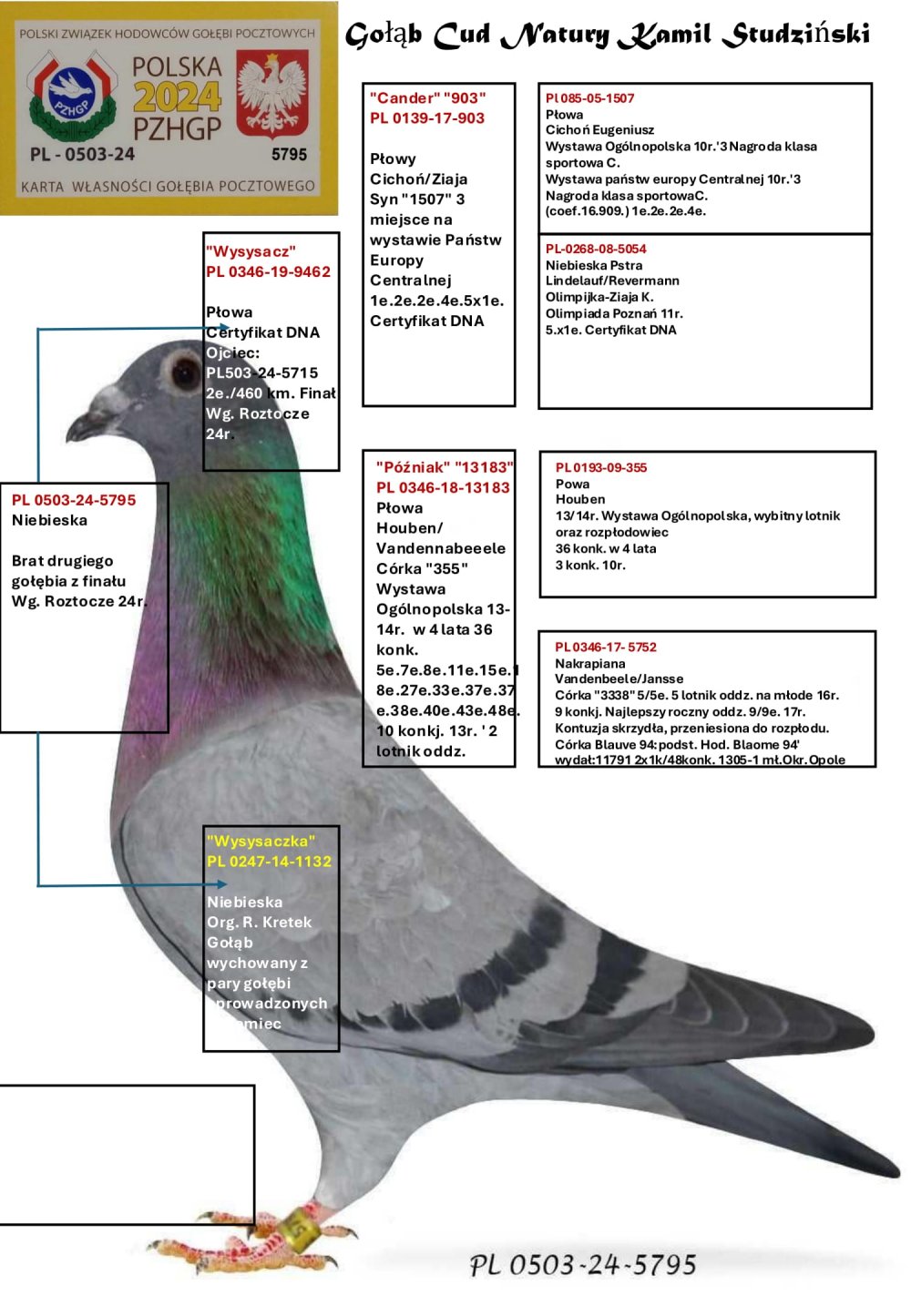 DARCZYŃCA: KAMIL STUDZIŃSKI - NR 1