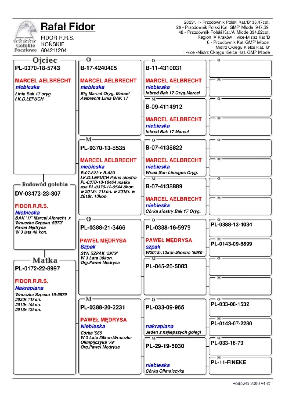 | CÓRKA ROZPŁODOWCA "5743" ORG. ŁEPUCH I. K. D. - 100% MARCEL AELBRECHT - LINIA "BAK 17" | CÓRKA SAMICY ROZPŁODOWEJ "8997" 100% P. MĘDRYSA - WNUCZKA SUPER LOTNIKA "SZPAK 5979" - 38KONK/3LATA! / WNUCZKA ASA LOTOWEGO I ROZPŁODOWEGO "965" |