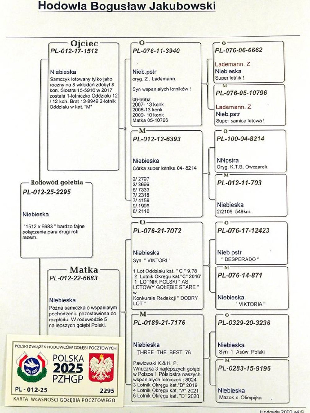 DZIECKO '1512 X 6683'