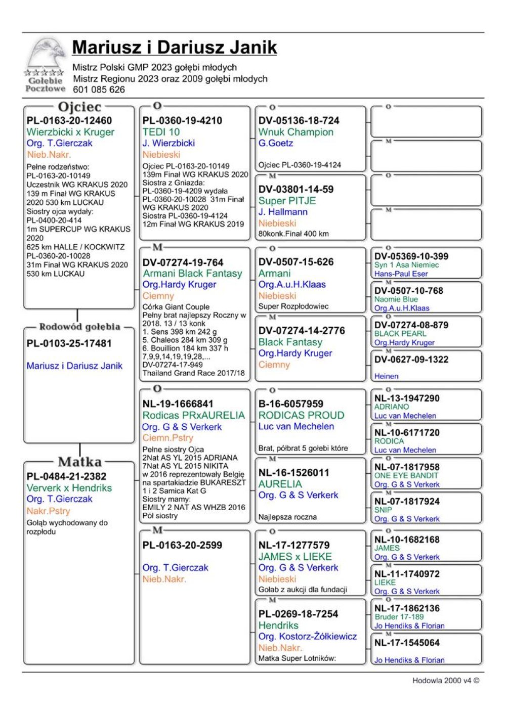 WNUCZKA 'VERKERK 841'