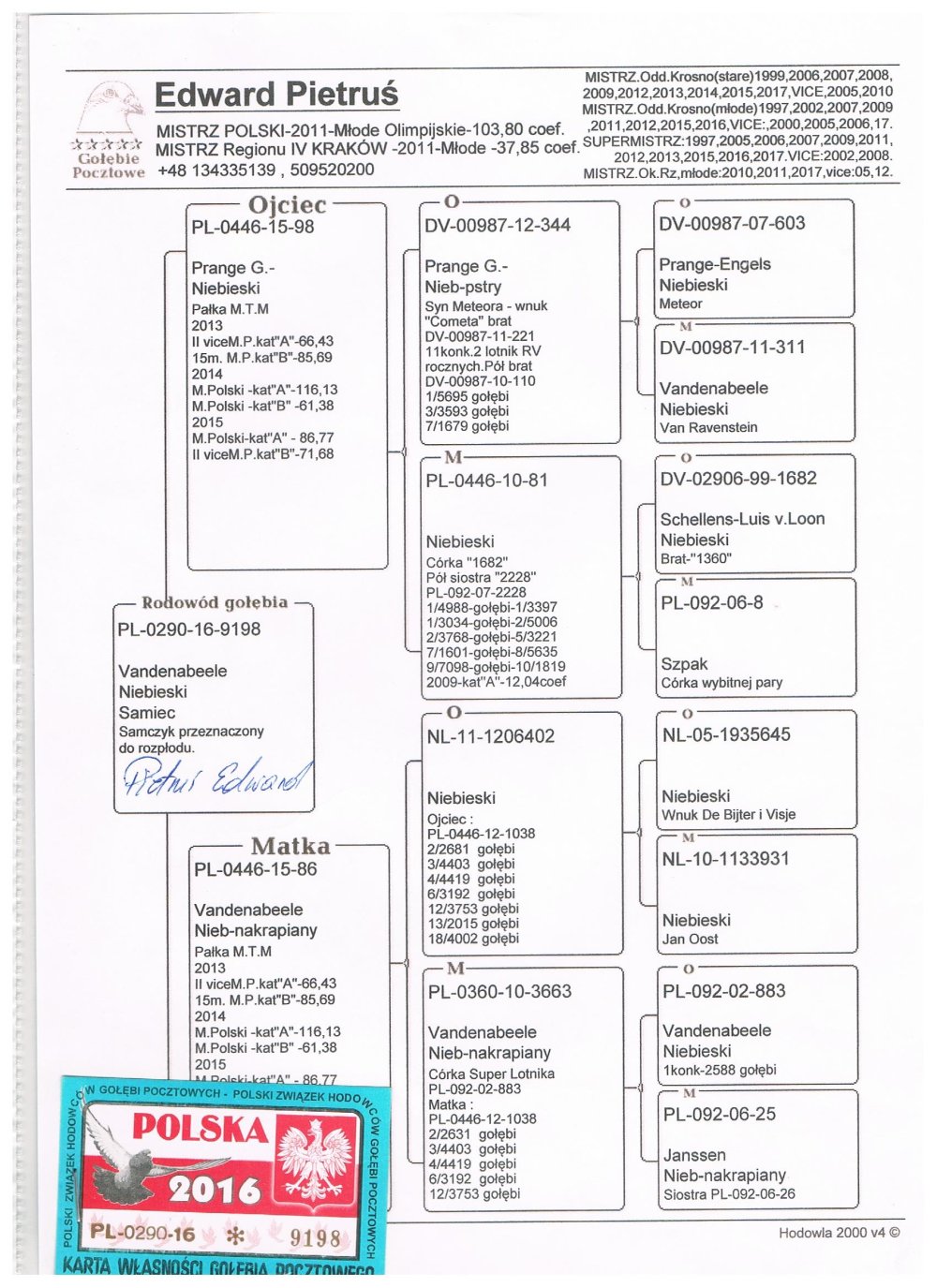 | BARDZO DOBRY SAMIEC ROZPŁODOWY "9198" - SYN ROZPŁODOWCA "98" PAŁKA M. T. M. - JEST ON WNUKIEM "METEOR"  I WNUKIEM "1682" - BRAT 1360 ! | SYN SAMICY ROZPŁODOWEJ "86" - PEŁNA SIOSTRA "1038" - M.IN.: 2, 3, 4, 6, 12, 13, 18.. |